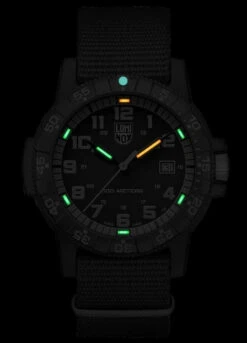 Luminox Leatherback Sea Turtle Giant 0333 -Nitecore || Fenix Officials BMC XS.0333.1 23475.1652437348