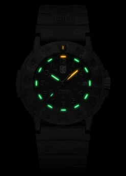 Luminox Original Navy SEAL -Nitecore || Fenix Officials BMC XS.3001.EVO .BO 47348.1665418970