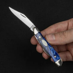 Case Peanut Blue Pearl Folding Knife -Nitecore || Fenix Officials CA23446 30775.1688044599