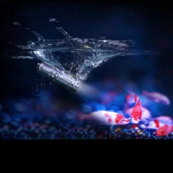 Fenix E02R -Nitecore || Fenix Officials FENIX E02R BRWdet3 32938.1612446444