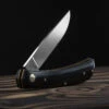 Hen And Rooster Buffalo Horn Folding Knife -Nitecore || Fenix Officials HR5038BHdet 76967.1665146601