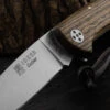 Joker Cocker NB134 Bocote Folding Knife -Nitecore || Fenix Officials JOK NB134.2 43177.1685980470
