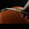 Warren Cutlery Pumpkin Carving Tool Set -Nitecore || Fenix Officials WC3.1 01152.1633946645