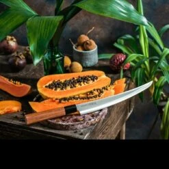 Samura Okinawa Slicing Tanto -Nitecore || Fenix Officials tc so 0146tdet6 69051.1587419957