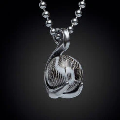 William Henry P25 FC Black Swan